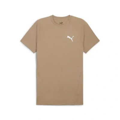 Image of Puma TEE Basic Tshirt, Men&#039;s, Size: Large, Oak branch