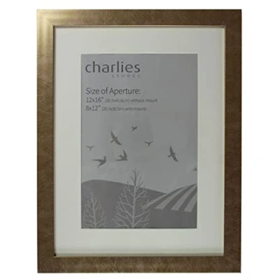 Image of Charlies Gold Picture Frame 12 x 16