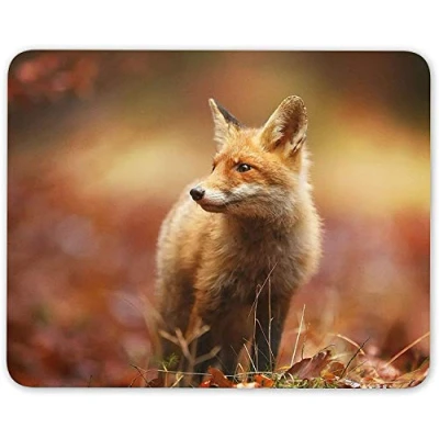 Image of Wild Ginger Fox Mouse Mat Pad Animal Dog Wildlife Computer PC #8116