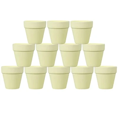 Image of BELLE VOUS 12 Pack Ceramic Off White Flower Pots D5 x H7.9cm / 1.97 3.11 Inches Mini Clay Pottery Terracotta Plant, Succulent &amp; Cactus Planter Nursery DIY Crafts Wedding Decoration Pot