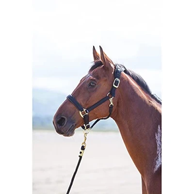 Image of Shires Topaz Nylon Pony/Horse Headcollar Black Pony