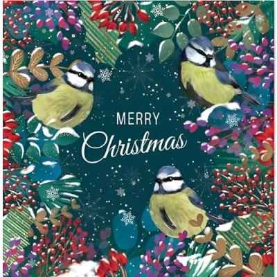 Image of Noel Tatt Charity Christmas Cards Pack of 10 with Artistic British Birds and Foliage Design Eco Friendly Xmas Multipack Envelopes
