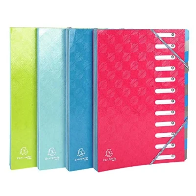Image of Exacompta Ref 56220E 1928 Collection Harmonika Multipart File 24.5x32cm for A4 Sized Docs, 12 Tabbed Sections Multi Coloured Tabs, Pack of 1