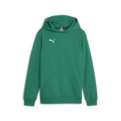 Image of PUMA teamGOAL Casuals Hoody Jr