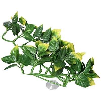 Image of Exo Terra Plastic Amapallo Plant, Small