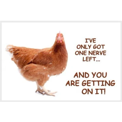 Image of Chicken Hen Funny Fridge Magnet