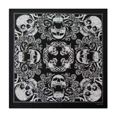 Image of JSGHGDF Skull Print Bandana for Adult Western Paisleys Bandanas Fashion Neckerchief Street Dance Headscarf Hiphop