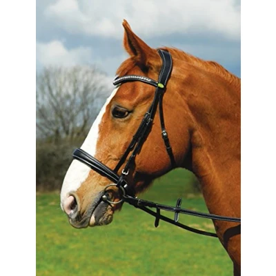 Image of Rhinegold Anatomic Cavesson Bridle Cob Black