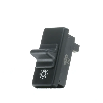 Image of CI42025 Switch, headlight MAGNETI MARELLI 000042025010