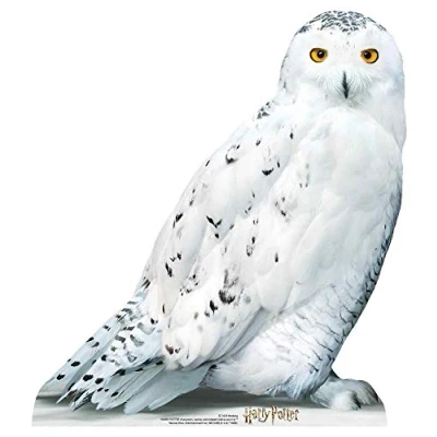 Image of Star CUTOUTS SC1476 Hedwig Mini Harry Lifesize Cardboard Cutout Perfect Fun for Potter Fans Height 74cm Small Party Theme, Solid, Regular