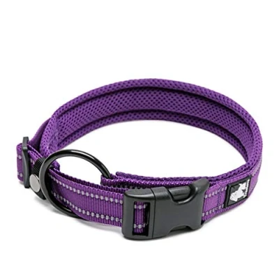Image of WINHYEPET True Love Dog Collar Reflective Sandwich lining Nylon Webbing Comfortable and Safe Adjustable Buckle convenient used for walking Samll/Medium/Large neck ring TLC5011(Purple,2XS)