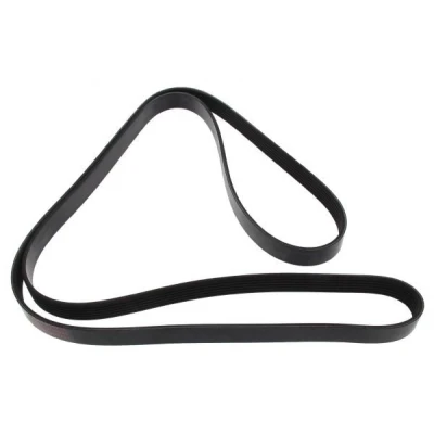 Image of 53010254 V ribbed belt MAPCO 261973 1973mm 6 FORD: Focus Mk1 Hatchback, Transit Connect Van, Estate, ALFA ROMEO: 147, GTV, 156 Saloon