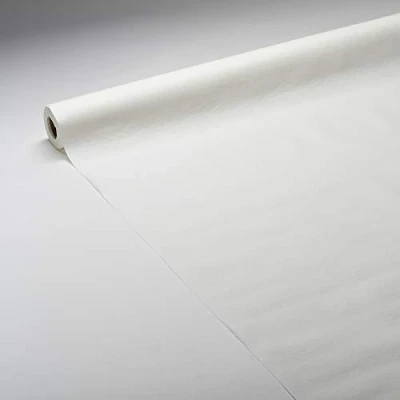 Image of LE NAPPAGE ARTS DE LA TABLE 1.20m x 10m White Airlaid FSC Paper Tablecloth
