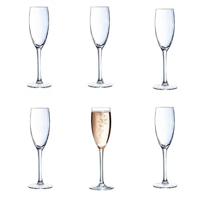 Image of 24X Chef &amp; Sommelier Cabernet Tulip Champagne Flutes 160ml 225X56mm Wine Glasses
