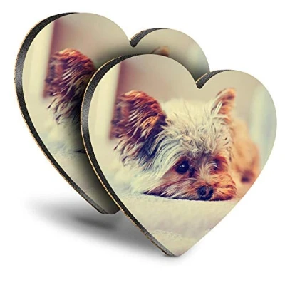 Image of Destination Vinyl ltd Great Coasters (Set of 2) Heart Yorkshire Terrier Puppy Dog Drink Glossy Coasters/Tabletop Protection for Any Table Type #15621