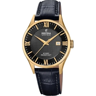Image of Festina Unisex Adults Analogue Quartz Watch with Leather Strap F20010/4