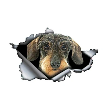 Image of LGDQ Car Sticker 13Cm X 8Cm Wire Short Haired Dachshund Stickers Torn Metal Reflective Waterproof Auto Accessories