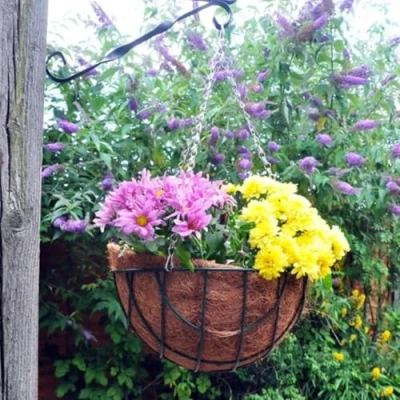 Image of Garden Mile® Various Sizes Hanging Baskets Decorative Ornamental Outdoor Indoor Wall Mounted Chain Planter Basket Green Jute Wire Coco Liner (16&quot; Basket)