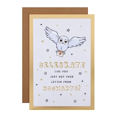 Image of Hallmark Birthday Card Harry Potter Hedwig Owl &amp; Letter Design