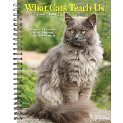 Image of What Cats Teach Us A5 Diary 2026