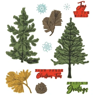 Image of Sizzix A5 Clear Stamps w/Framelits Die Pine Holidays by 49 and Market