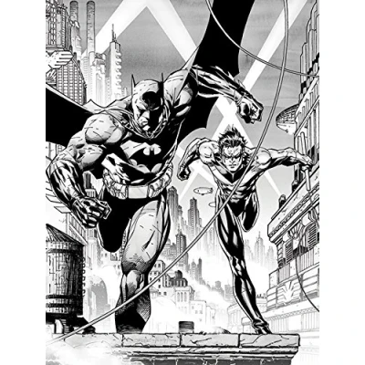 Image of DC Comics &quot;Batman &amp; Nightwing&quot; Canvas Print, 60 x 80 cm