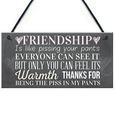 Image of RED OCEAN Best Friend Sign Friendship Gift Funny Thank You Novelty Birthday Shabby Chic Hanging Plaque