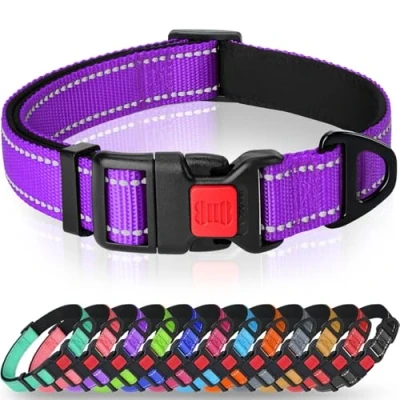 Image of Taglory Reflective Nylon Dog Collar with Safety Buckle, Adjustable Pet Collars Soft Neoprene Padding for Small Dogs, Purple