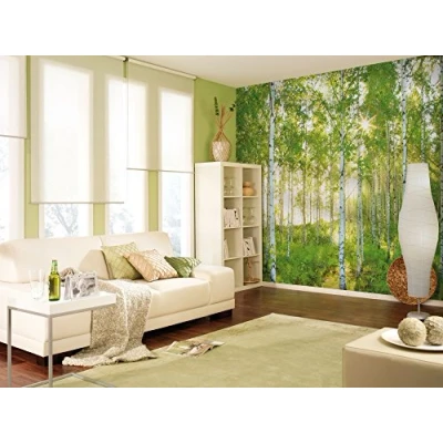 Image of Komar 8 519 368 x 254 cm National Geographic Sunday Spring Birch Tree Forest Wallpaper Mural Green (Pack of 8)