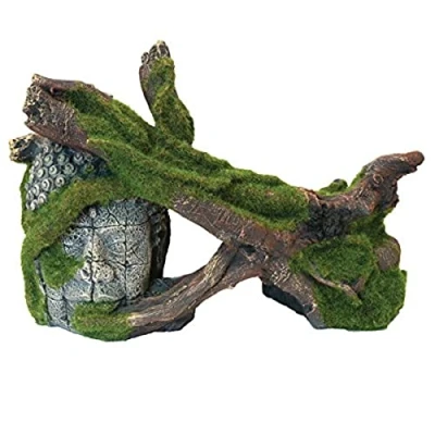 Image of Blue Ribbon MOSS COVERED TREES &amp; RUIN