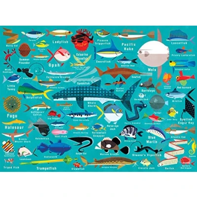 Image of Ocean Life 1000pc Family Puzzle