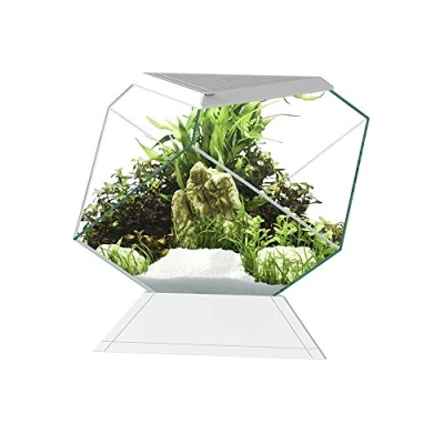 Image of Askoll 280669 nexus 5c betta life white