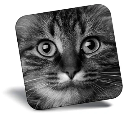 Image of Destination Vinyl ltd Fridge Magnet bw Beautiful Tabby Cat Face #36103