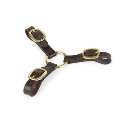 Image of Shires Blenheim 3 Way Leather Couplings: Havana