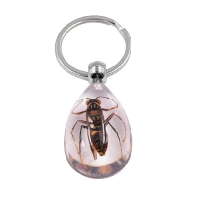 Image of xbiez Artificial Insect Car Keyring Creativity Resin Scorpion Keychain Ant Amber Keychains Handbag Wallet Pendant