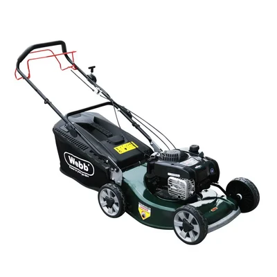 Image of WEBB WER19ALSP Rotary Lawn Mower Green &amp; Black