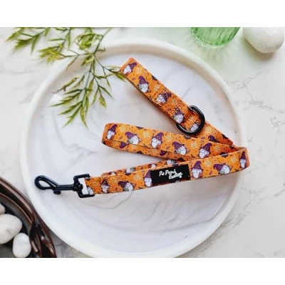 Image of Trick Or Treat Harry Halloween Dog Lead