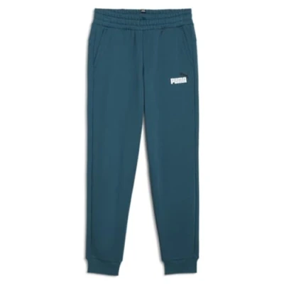 Image of PUMA ESS+ 2 Col Logo Pants FL cl B