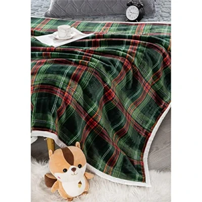 Image of Easylife Plush Sherpa Throw Blanket (Green Check), Soft and Cosy Fleece Blanket, Machine Washable Sofa or Bed (measures 127 x 153cm), Large Fully Guaranteed
