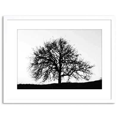 Image of Wee Blue Coo Photo Tree Silhouette Black White Cool Stark Framed Wall Art Print
