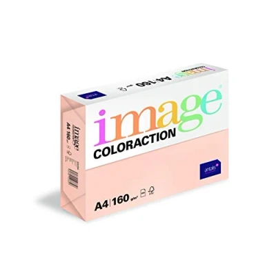 Image of Image Coloraction Savana Coloured Copier Paper DIN A4, 210 x 297 mm, 160 g/m² Colourful, Wood Free Printer for Copiers 250 Sheets Salm