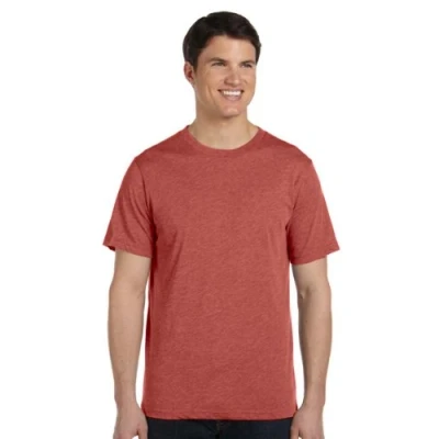 Image of Canvas Mens Triblend Crew Neck Plain Short Sleeve T Shirt (L) (Clay Triblend)