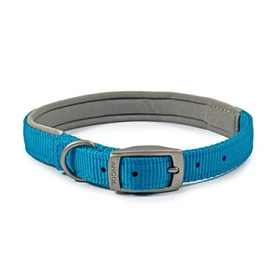 Image of Ancol Padded Viva Collar with Buckle Blue 35 43 cm Size 4