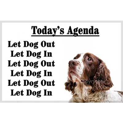 Image of Brown Liver White Springer Sprocker Spaniel Dog Funny Fridge Magnet Gift