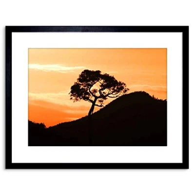 Image of Wee Blue Coo PHOTO LANDSCAPE SUNRISE NEW ZEALAND KAURI TREE SILHOUETTE FRAMED PRINT F97X5309