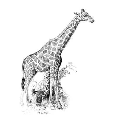Image of ROYAL BRUSH Sketching Made Easy Giraffe Mini Kit, 5&quot; by 7&quot;