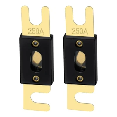 Image of Heschen ANL Fuse 250 Amp for Car Vehicles Audio System Sheet Gold Tone &amp; Black 2 Pack