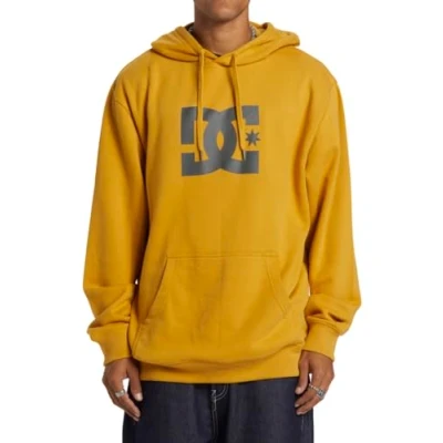 Image of DC Shoes STAR PH Hoodie, Size: Small, Yky tinsel