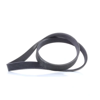 Image of 1143407, 1684973, 1692106, 1699566, 1802893 V ribbed belt CONTITECH 6PK1019 ELAST 1019mm 6 FORD: FIESTA 6, 5, FOCUS 3, MAZDA: 2 Hatchback