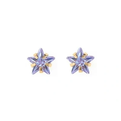Image of 9ct gold 6mm lilac star CZ crystal stud earrings. Gift box